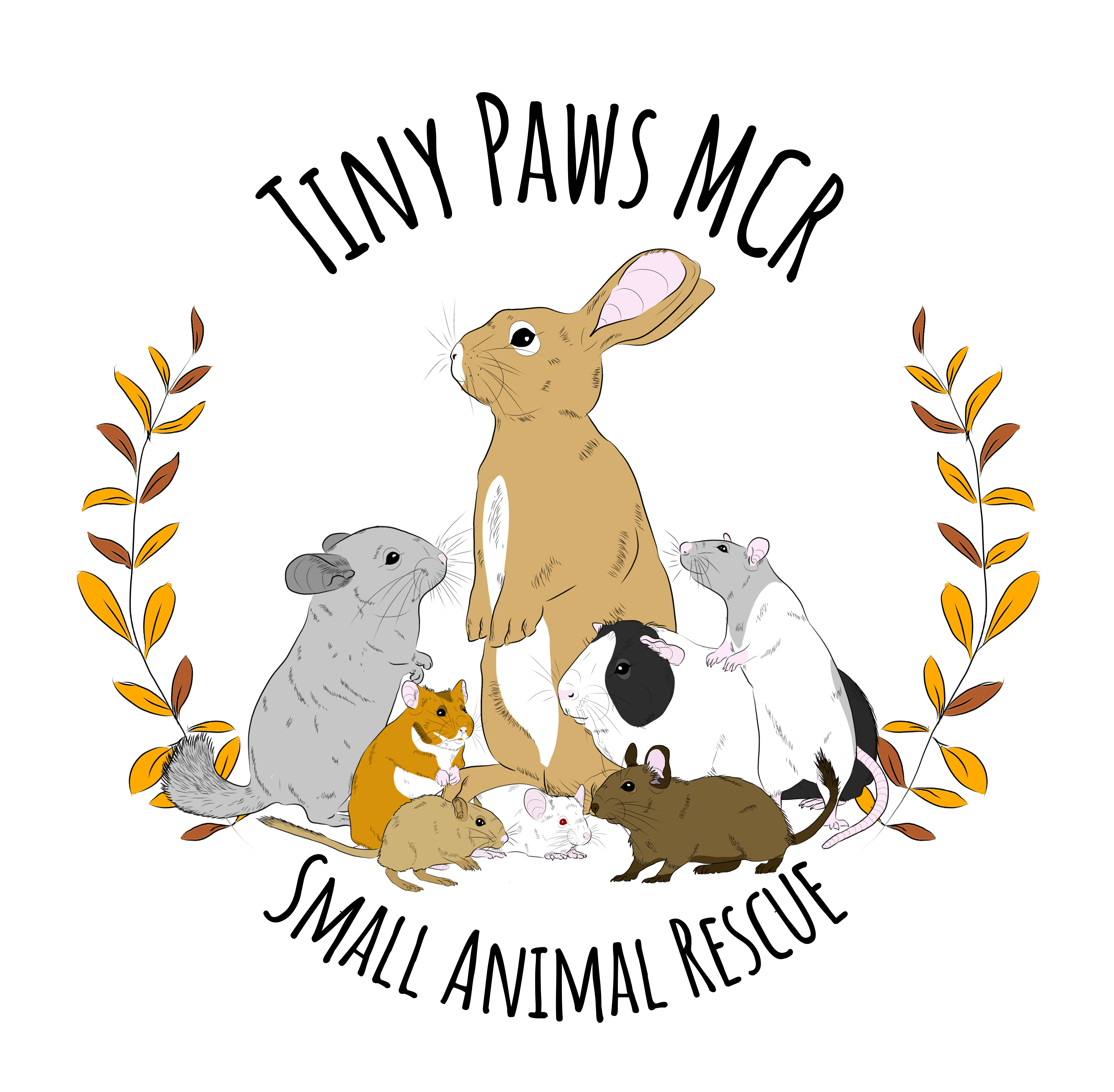 Tiny Paws MCR