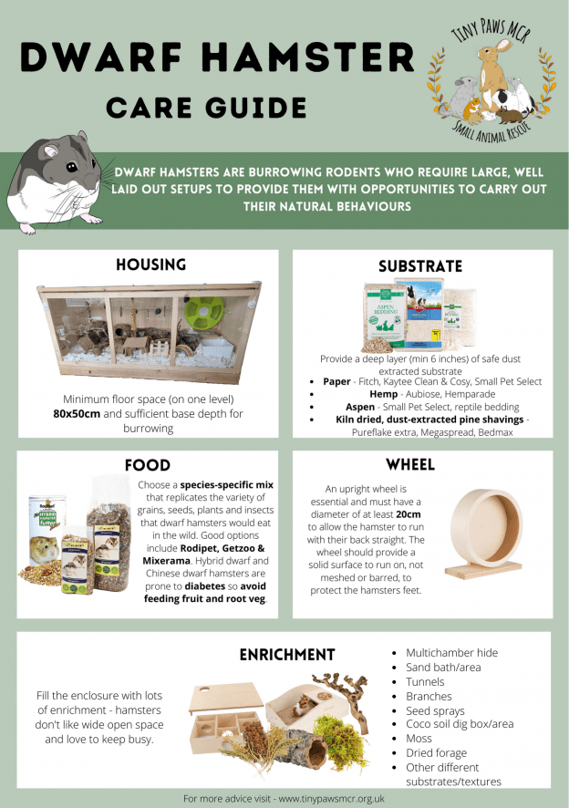 View of Care Summary Guides - Tiny Paws MCR