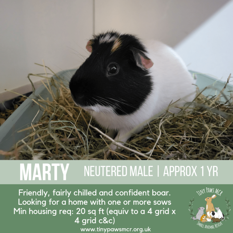 Marty