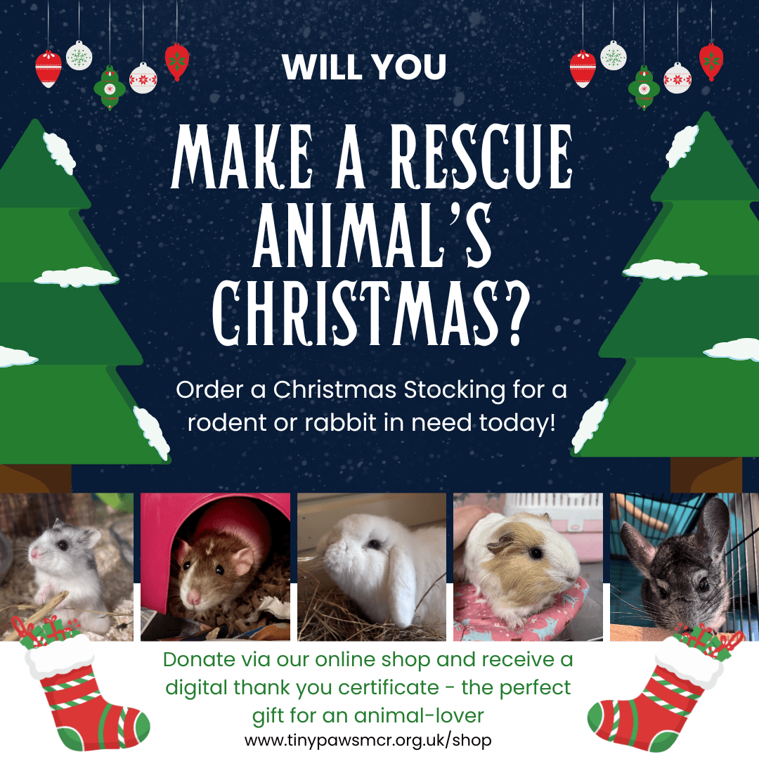 Navy and Green Modern Christmas Food Drive Instagram Post