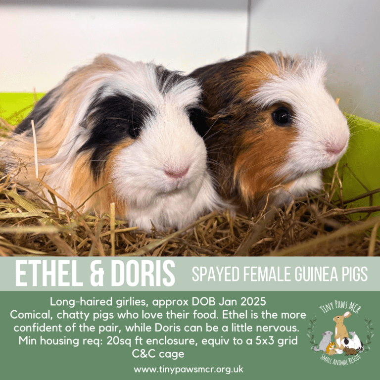 Ethel & Doris