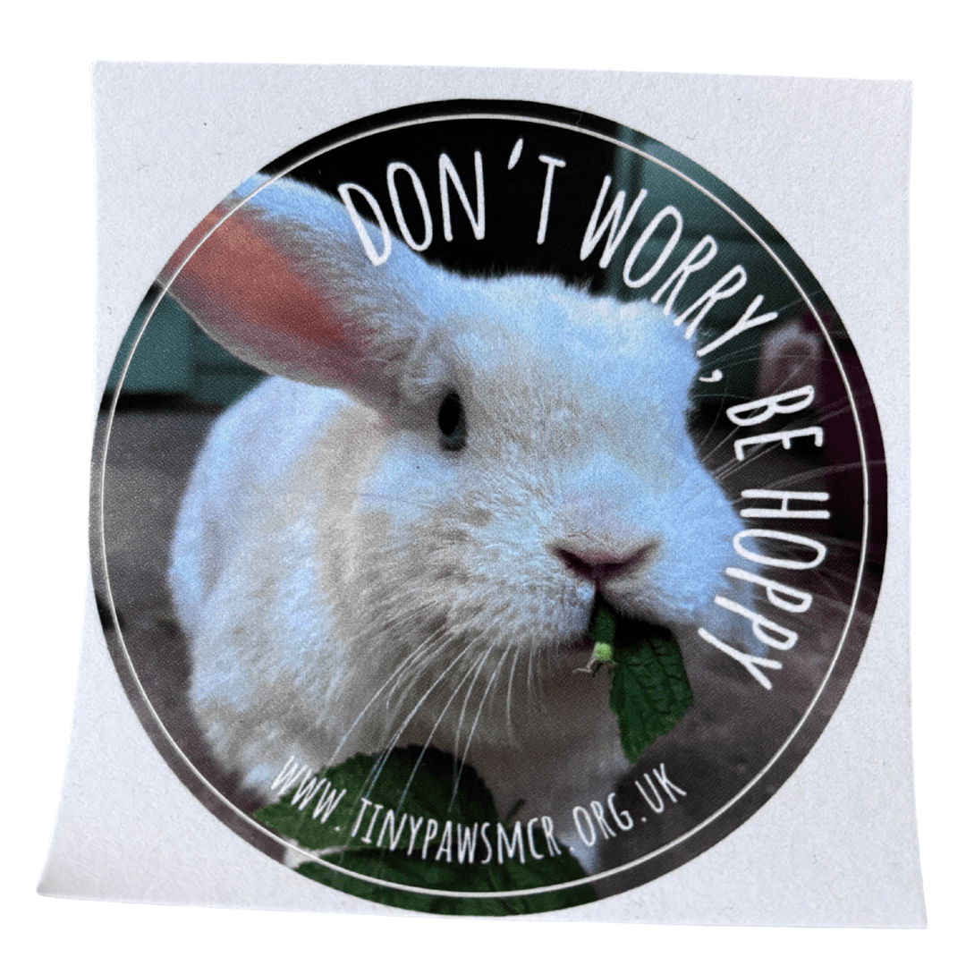 Don't Worry, Be Hoppy Rabbit Sticker