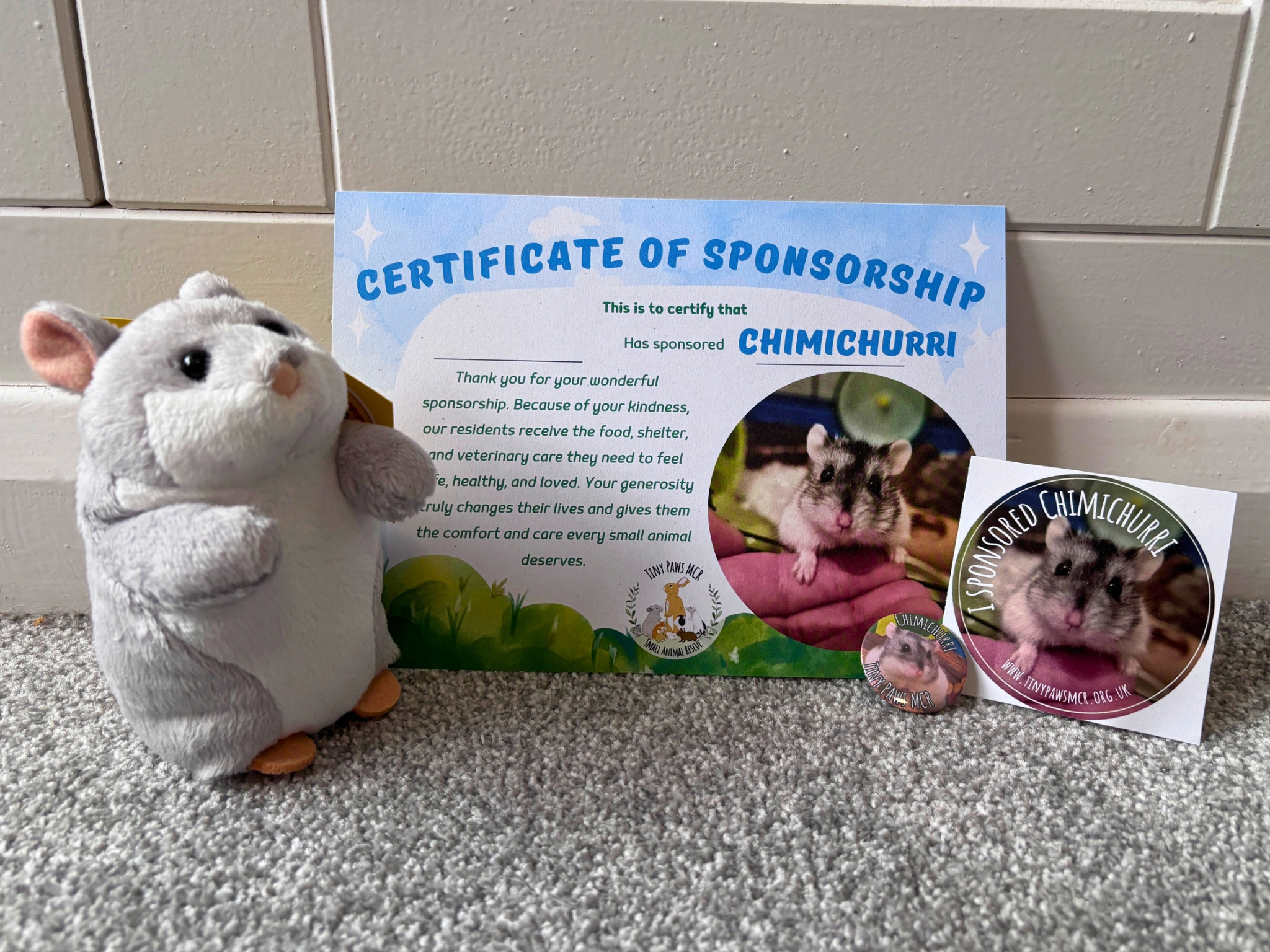 Sponsor a Rescue Hamster