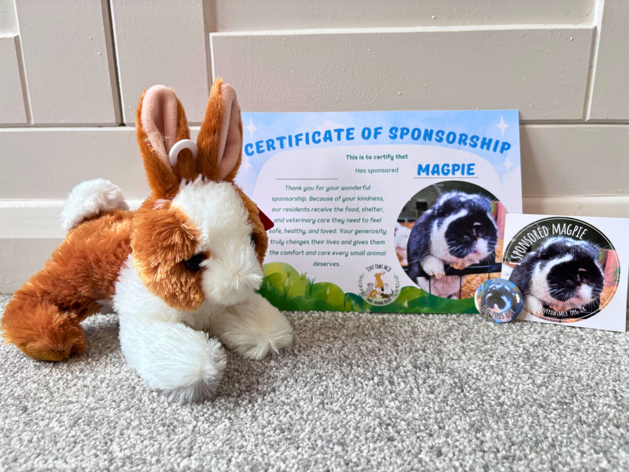 Sponsor a Rescue Rabbit
