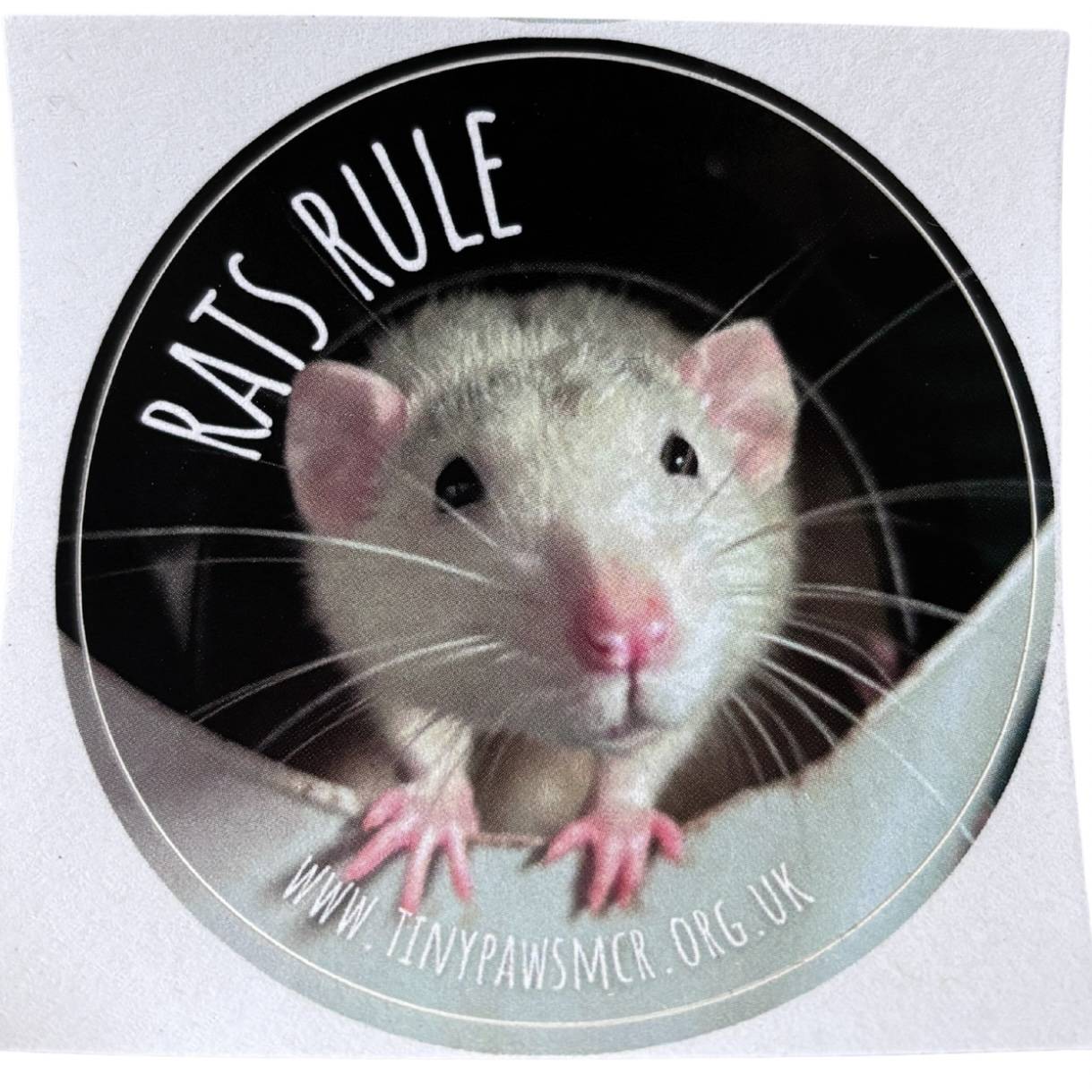 Rats Rule Sticker