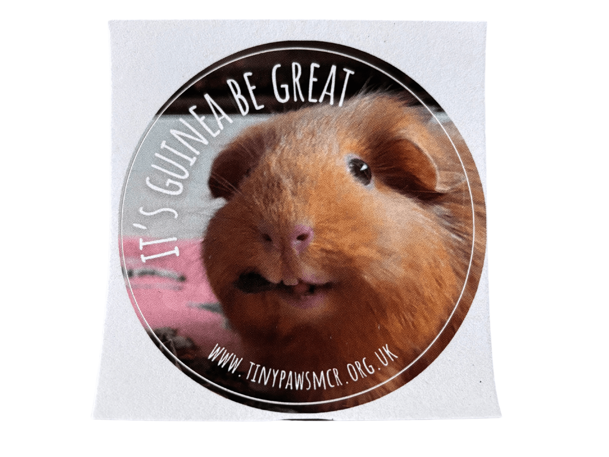 It's Guinea be Great Sticker